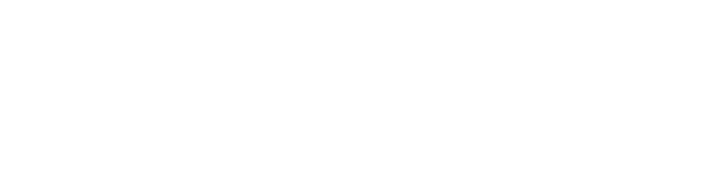 the teams logo